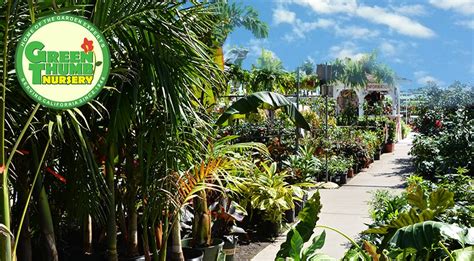 For over 60 years, Kartuz Greenhouses has been offering distinctive varieties of rare and exotic <b>plants</b>. . Southern california wholesale nurseries